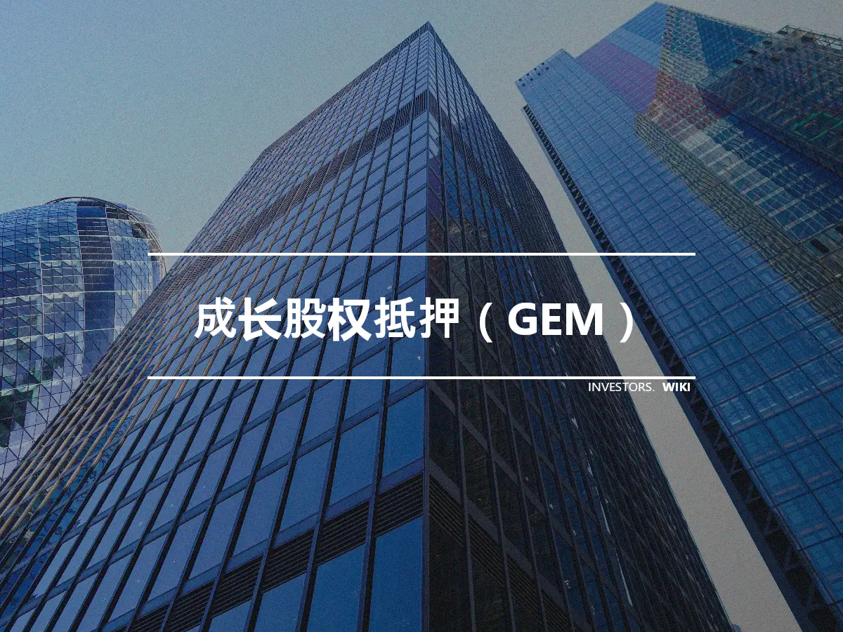 成长股权抵押（GEM）