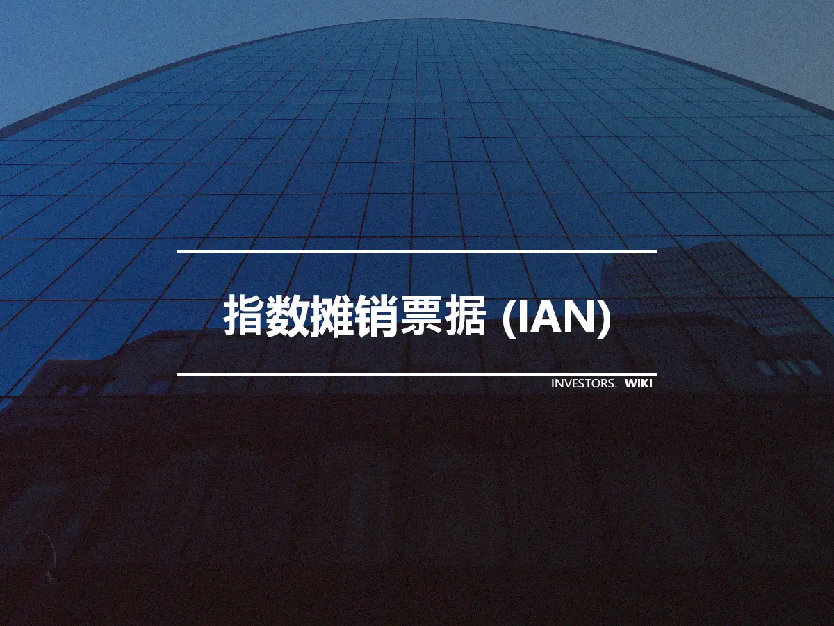 指数摊销票据 (IAN)