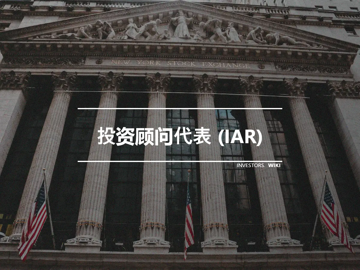 投资顾问代表 (IAR)