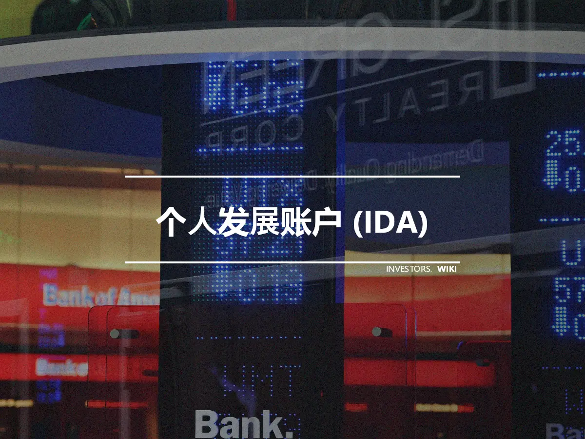 个人发展账户 (IDA)
