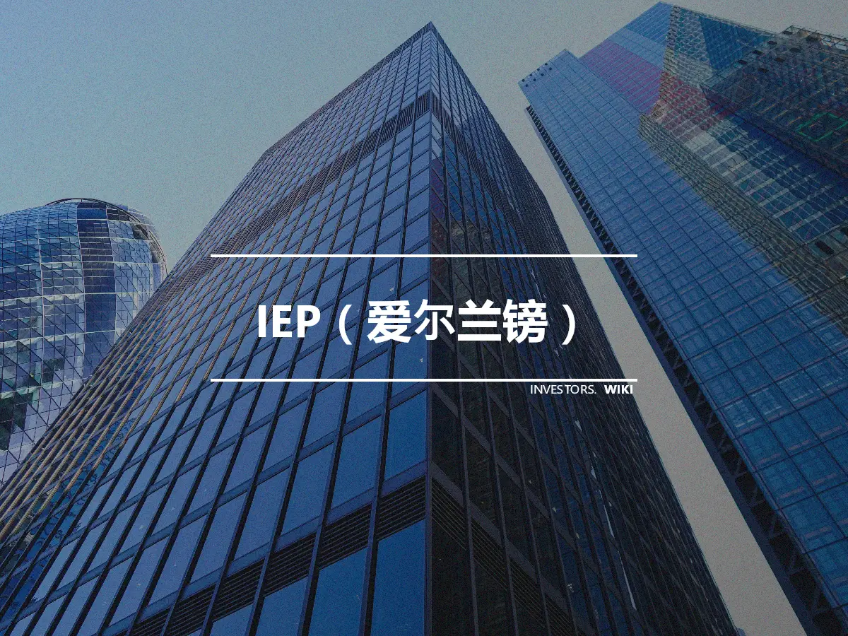 IEP（爱尔兰镑）