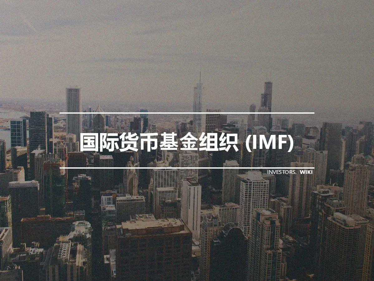 国际货币基金组织 (IMF)