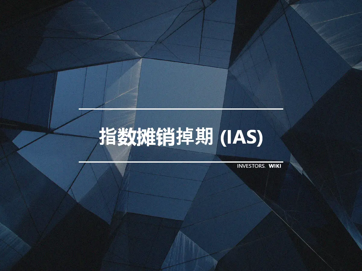 指数摊销掉期 (IAS)