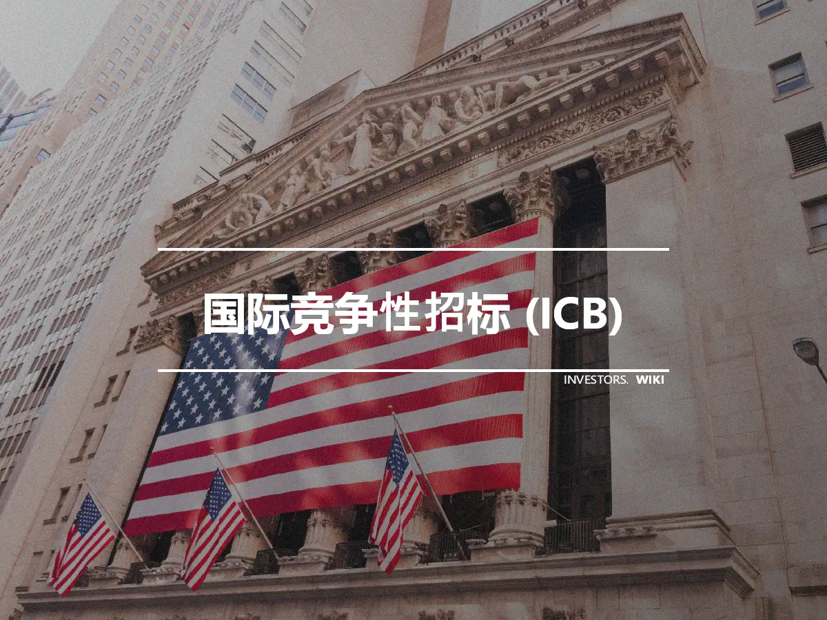 国际竞争性招标 (ICB)