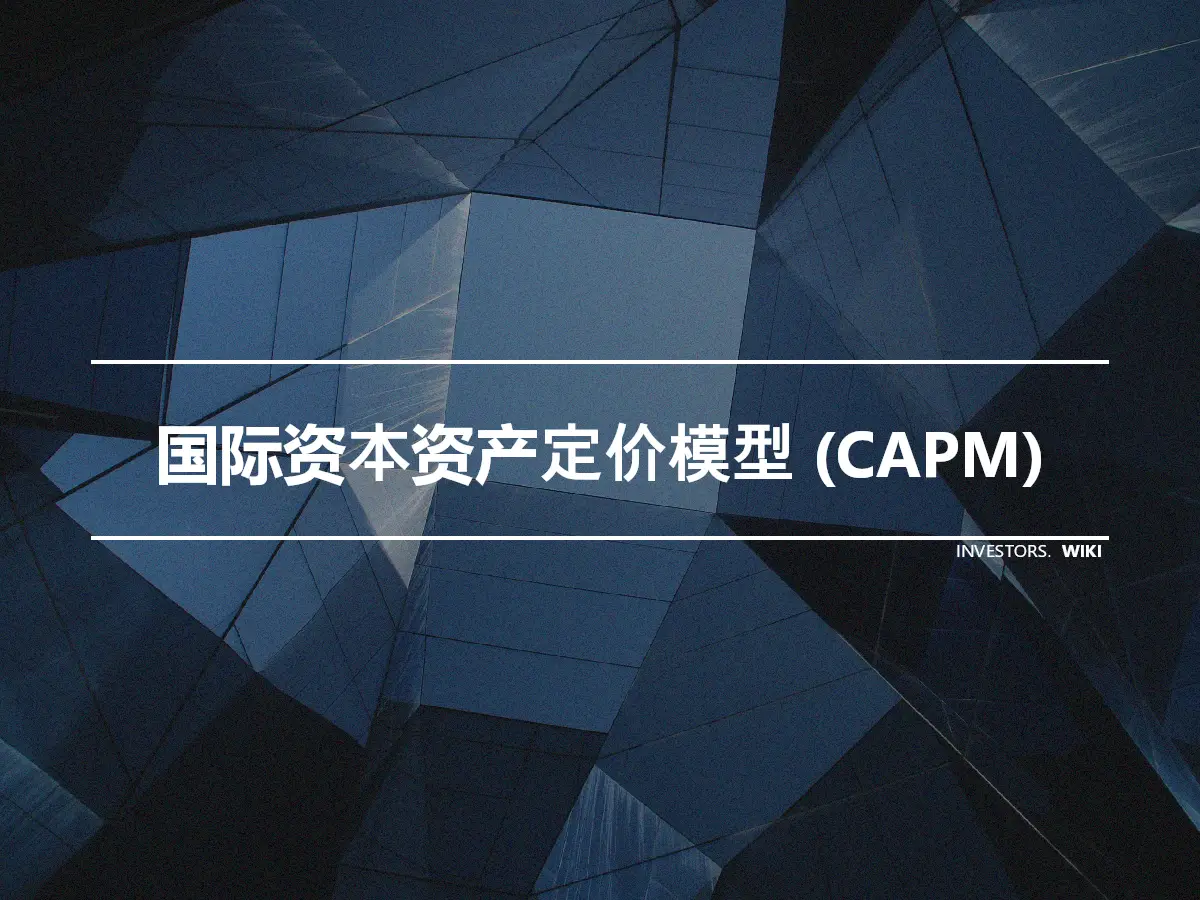 国际资本资产定价模型 (CAPM)