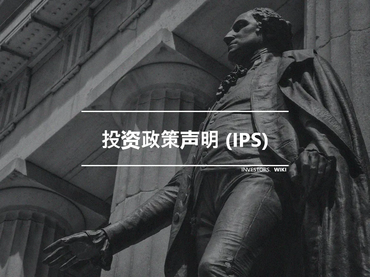 投资政策声明 (IPS)