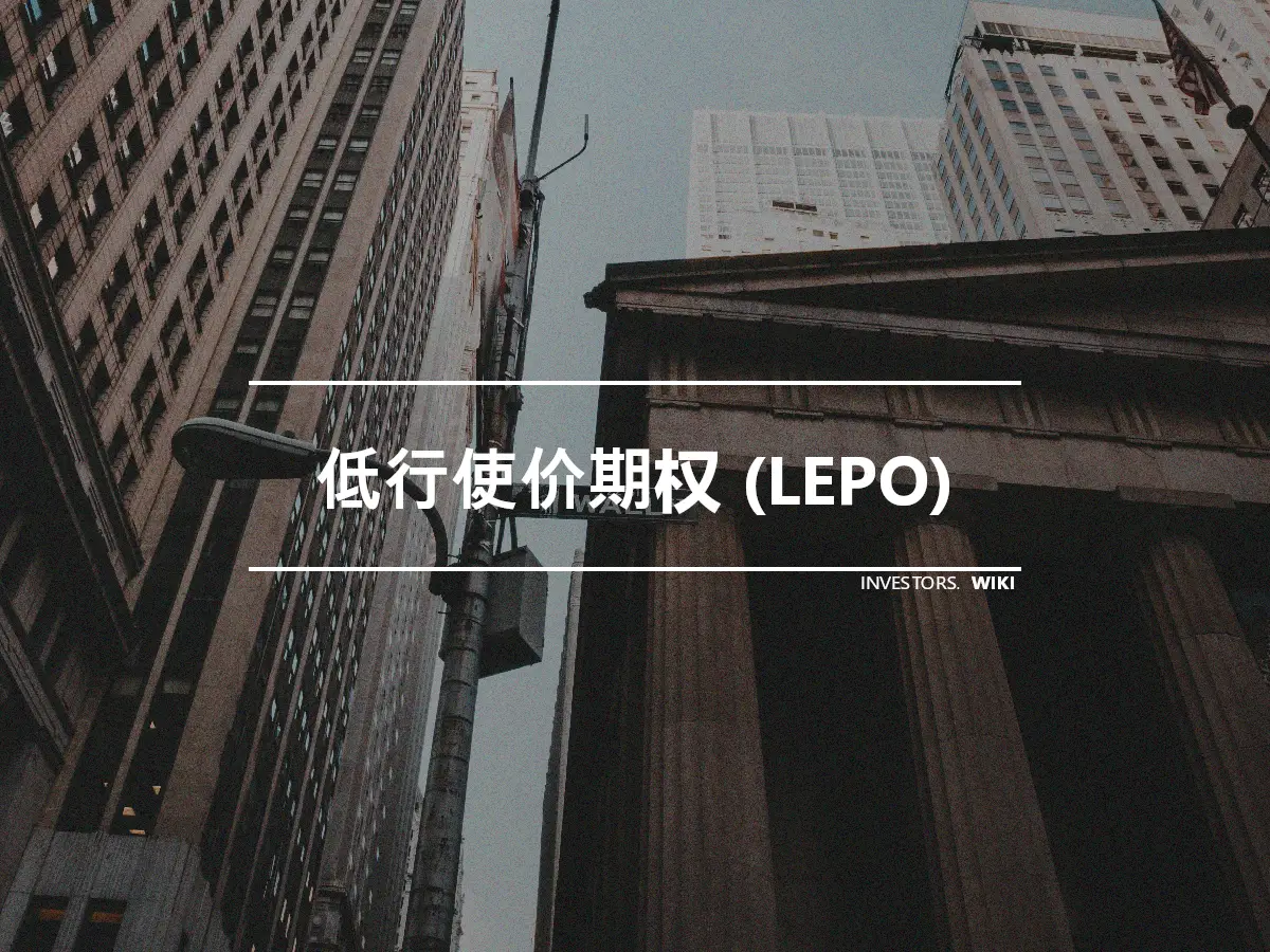 低行使价期权 (LEPO)