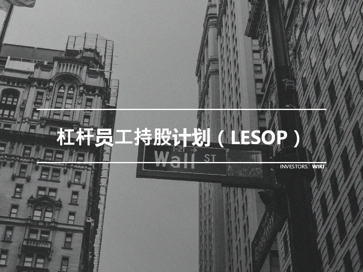 杠杆员工持股计划（LESOP）