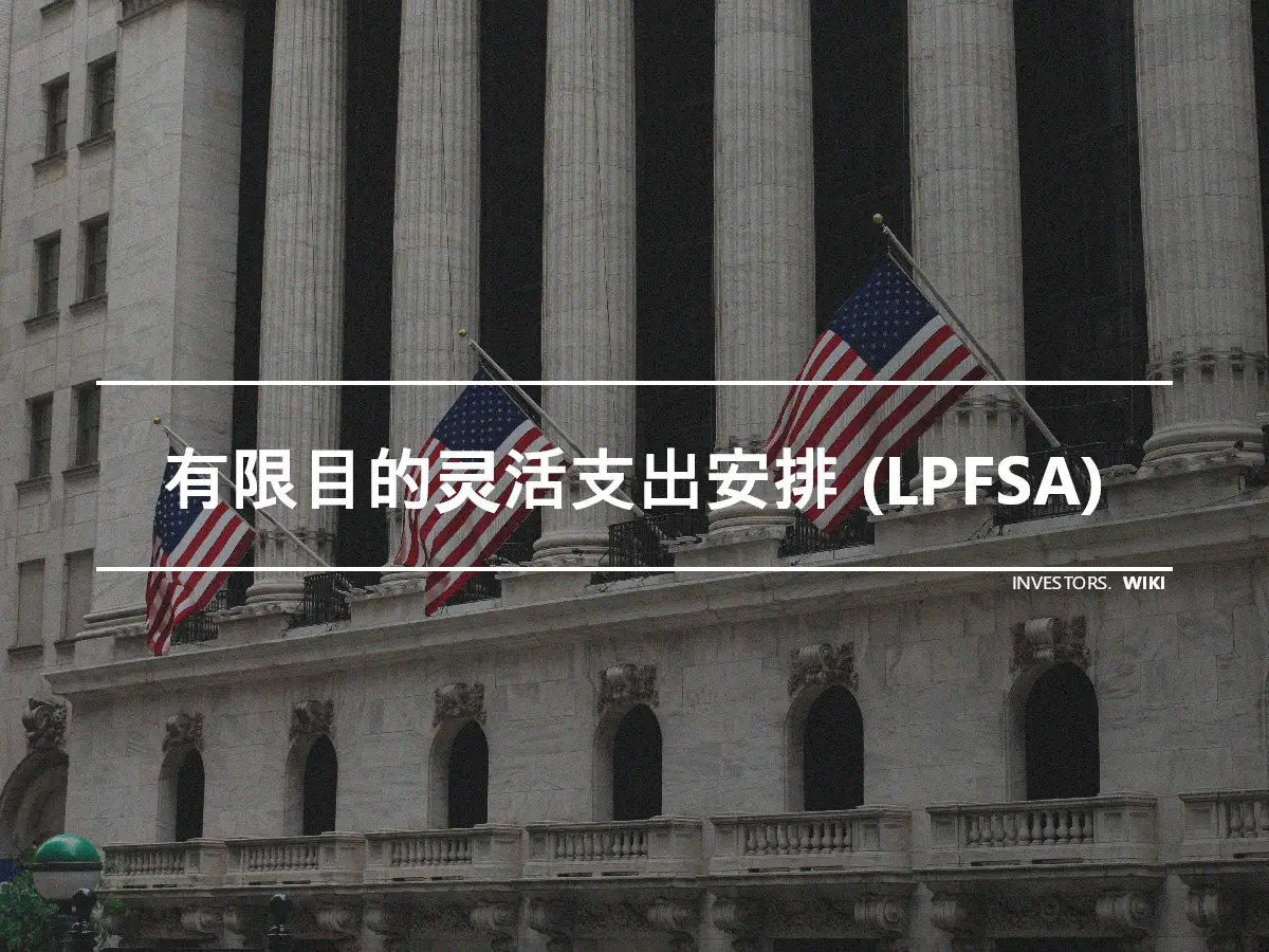 有限目的灵活支出安排 (LPFSA)