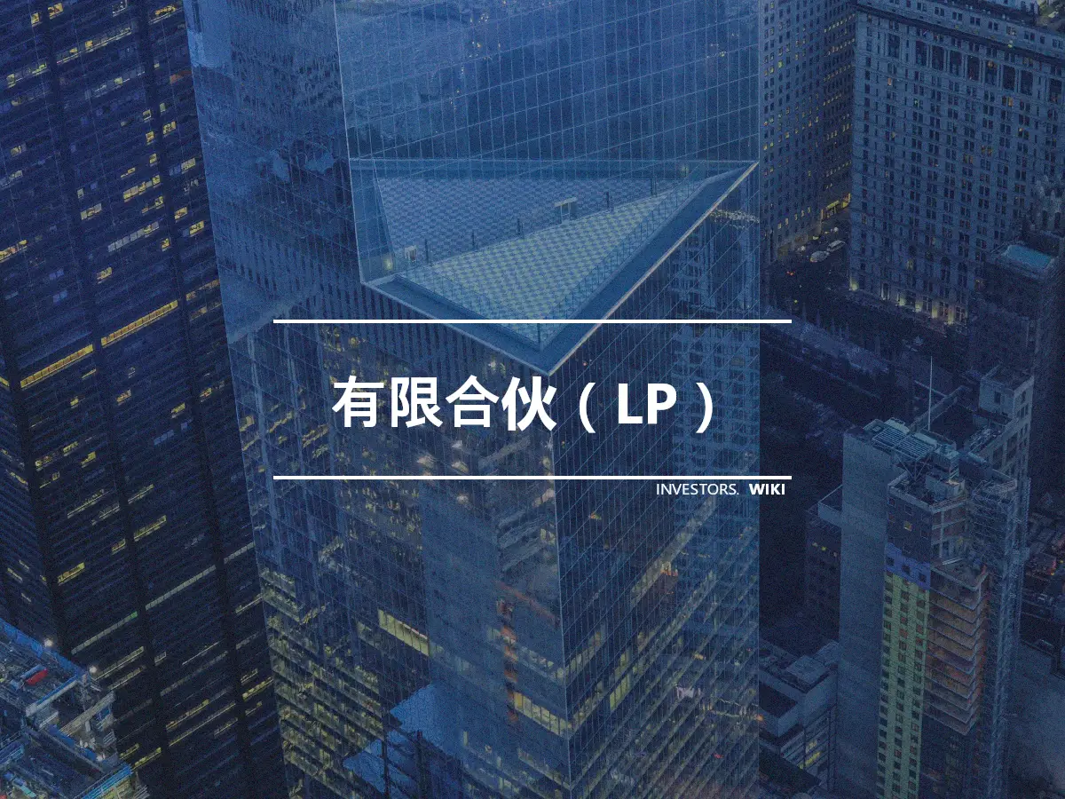 有限合伙（LP）