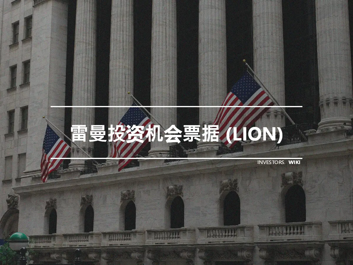 雷曼投资机会票据 (LION)