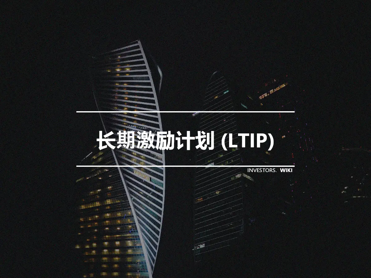 长期激励计划 (LTIP)