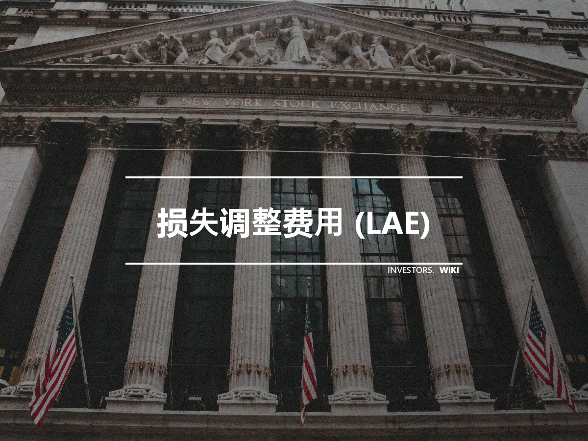 损失调整费用 (LAE)