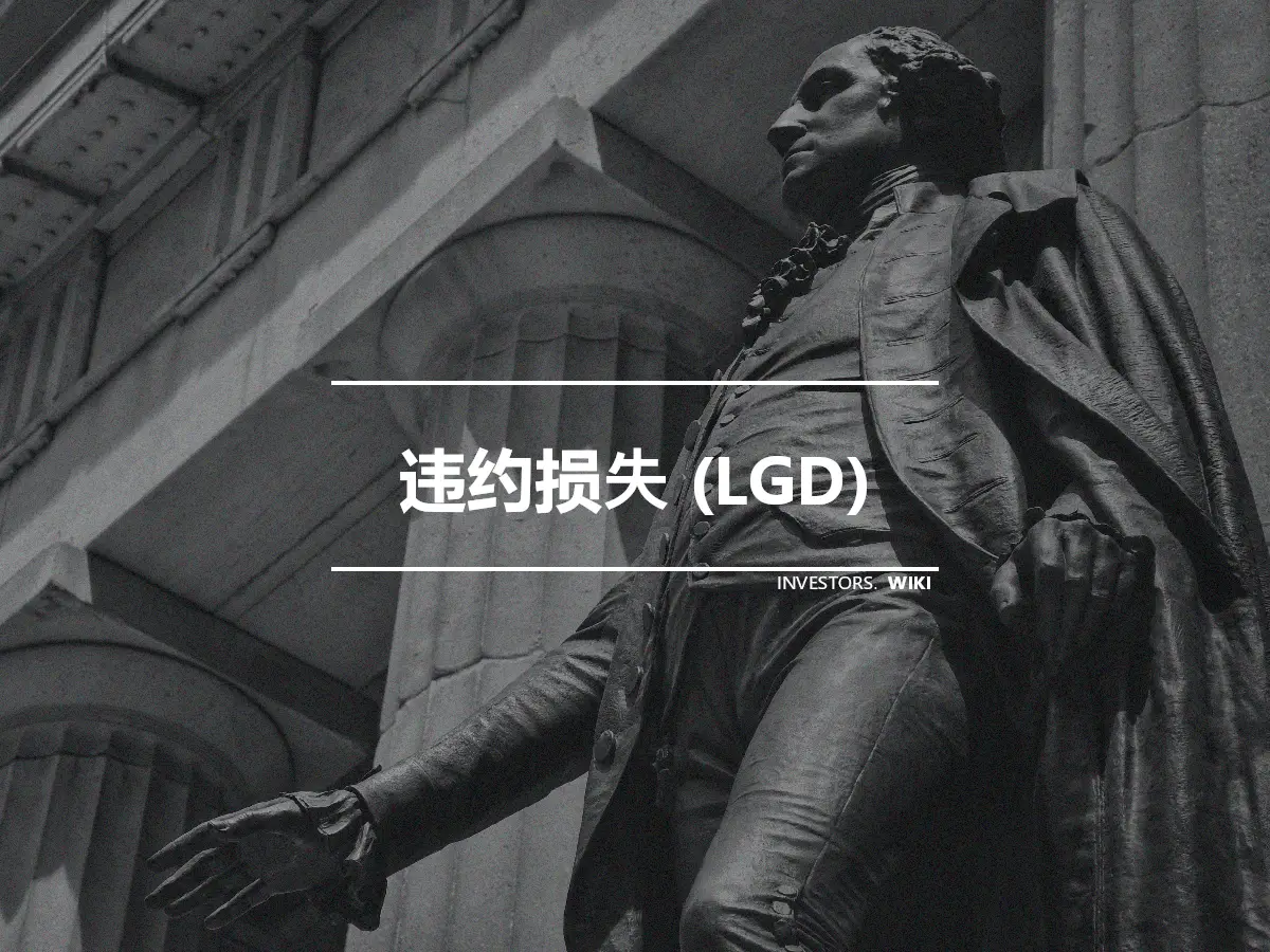 违约损失 (LGD)