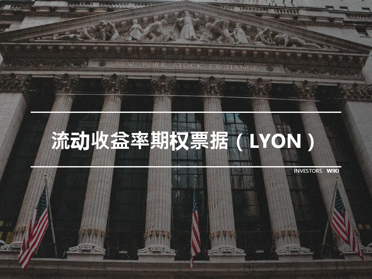 流动收益率期权票据（LYON）