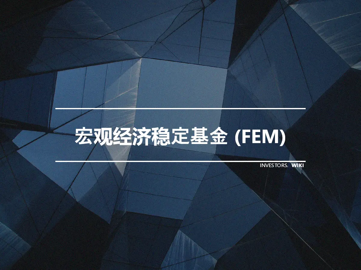 宏观经济稳定基金 (FEM)