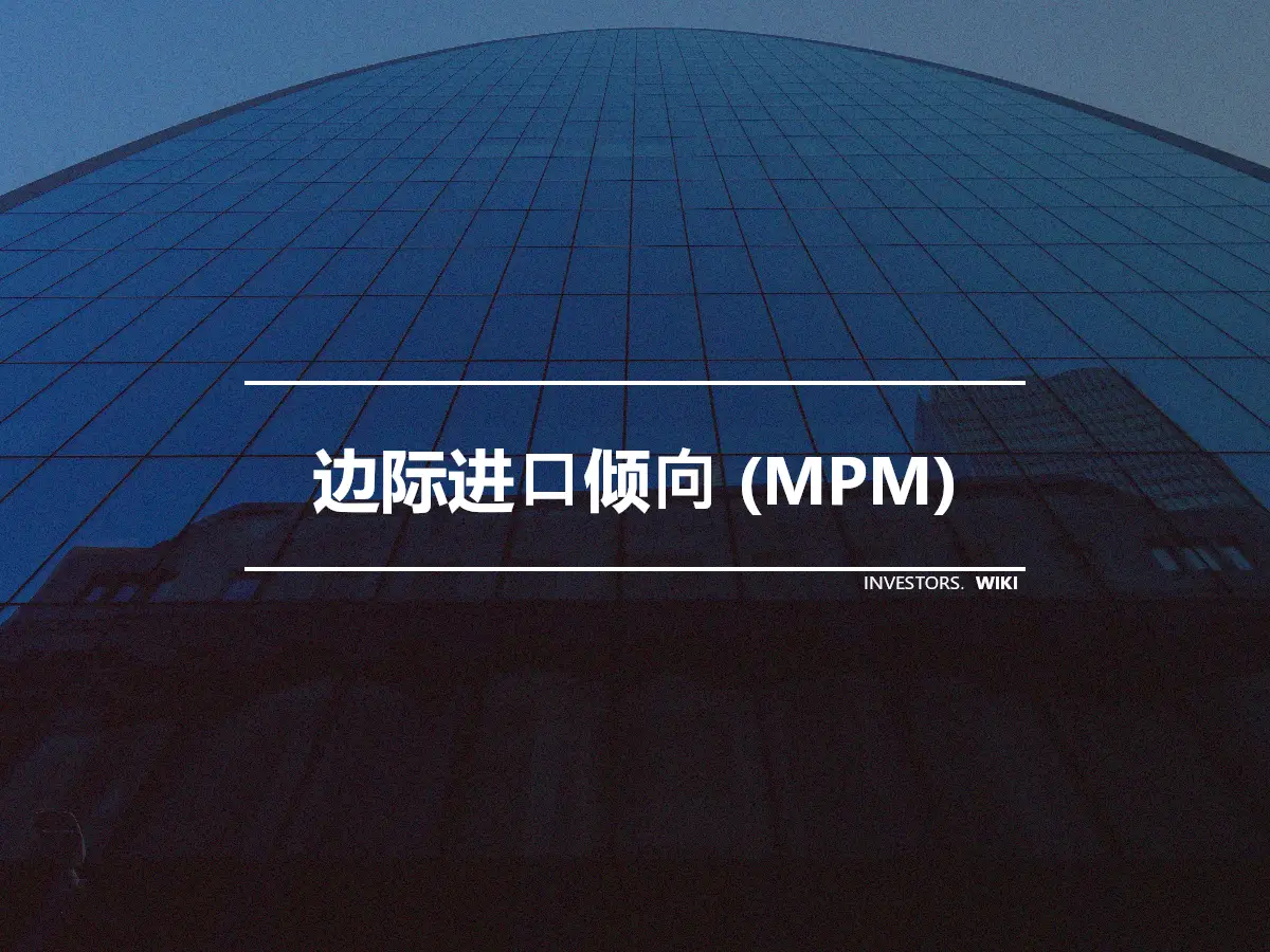 边际进口倾向 (MPM)