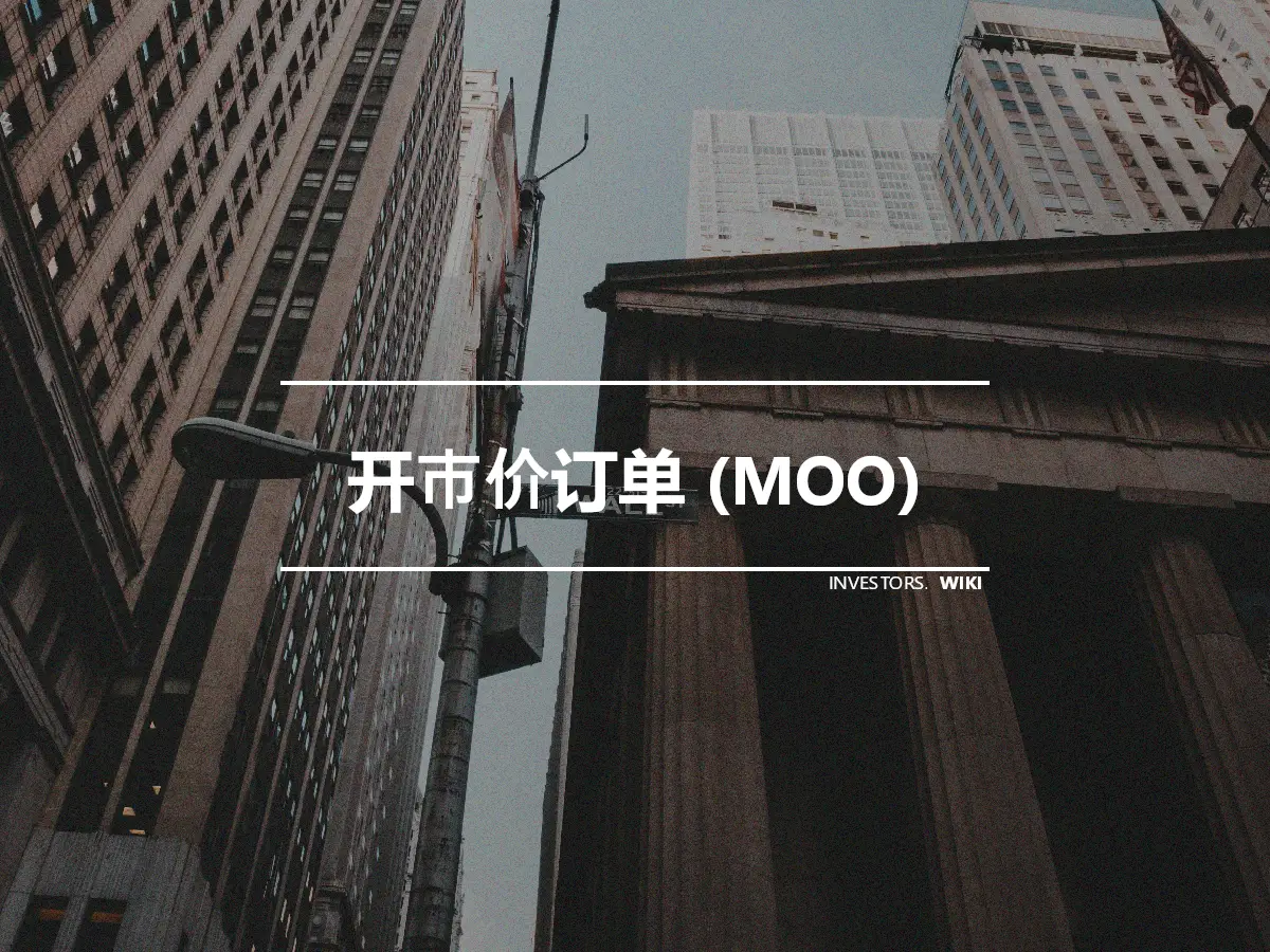 开市价订单 (MOO)