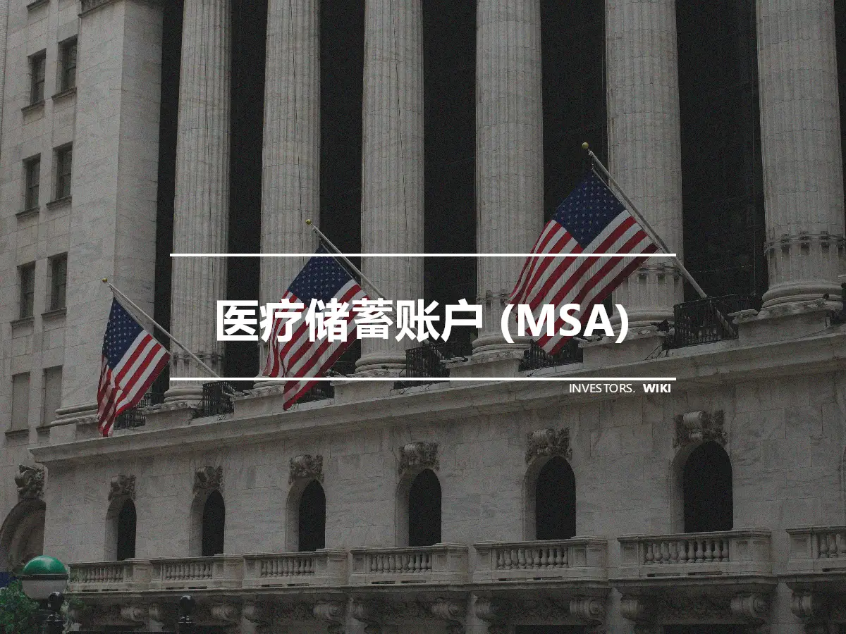 医疗储蓄账户 (MSA)