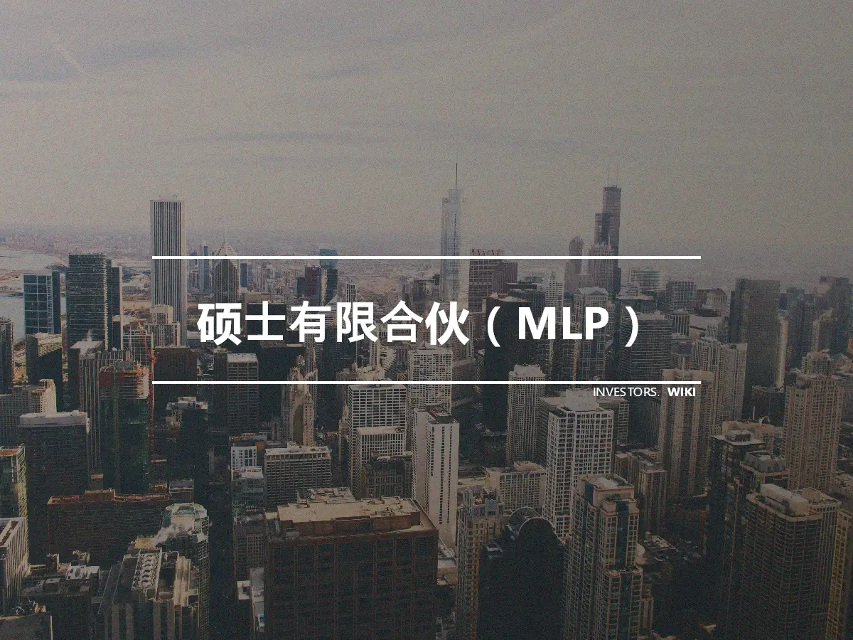 硕士有限合伙（MLP）