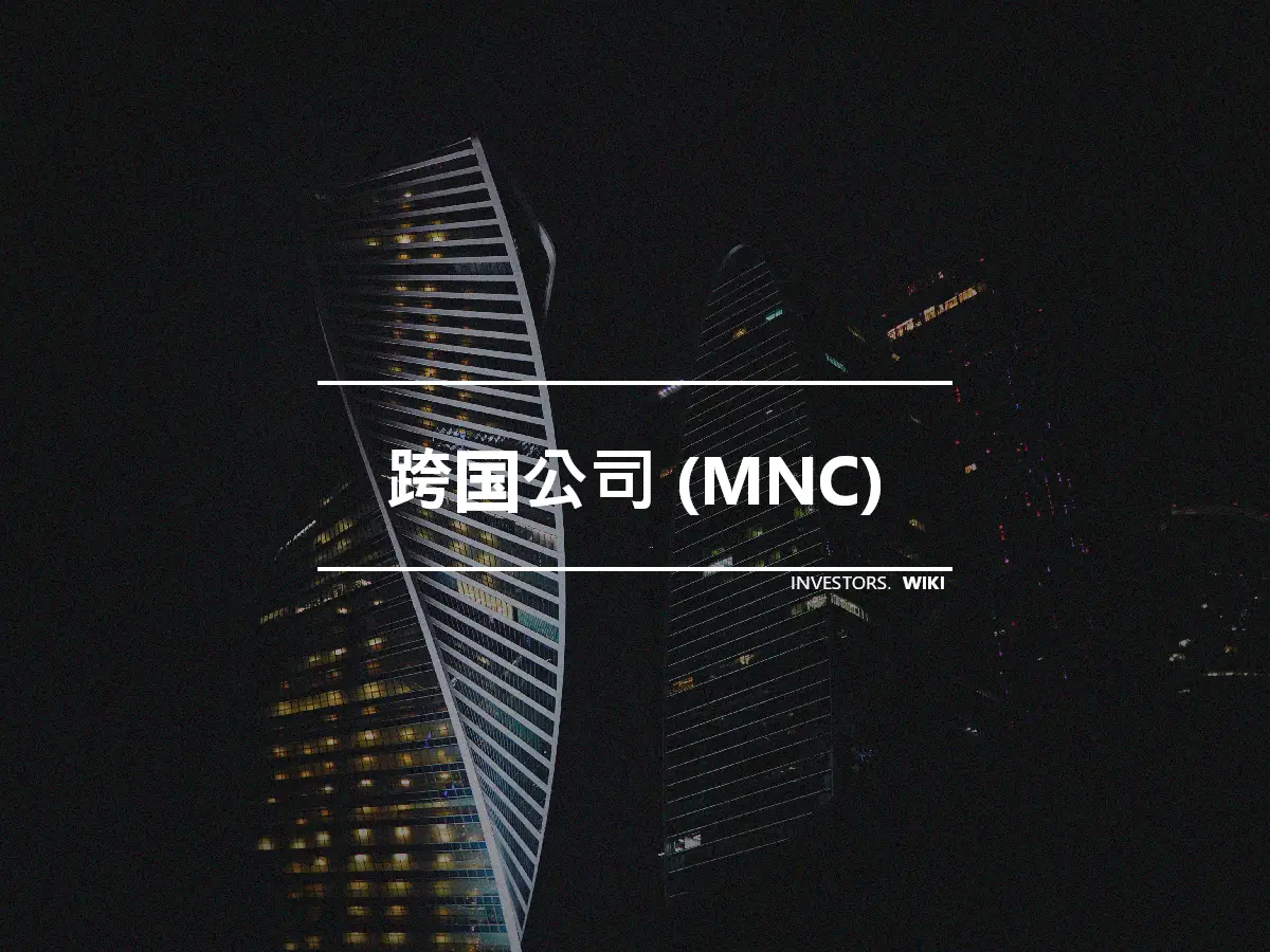 跨国公司 (MNC)