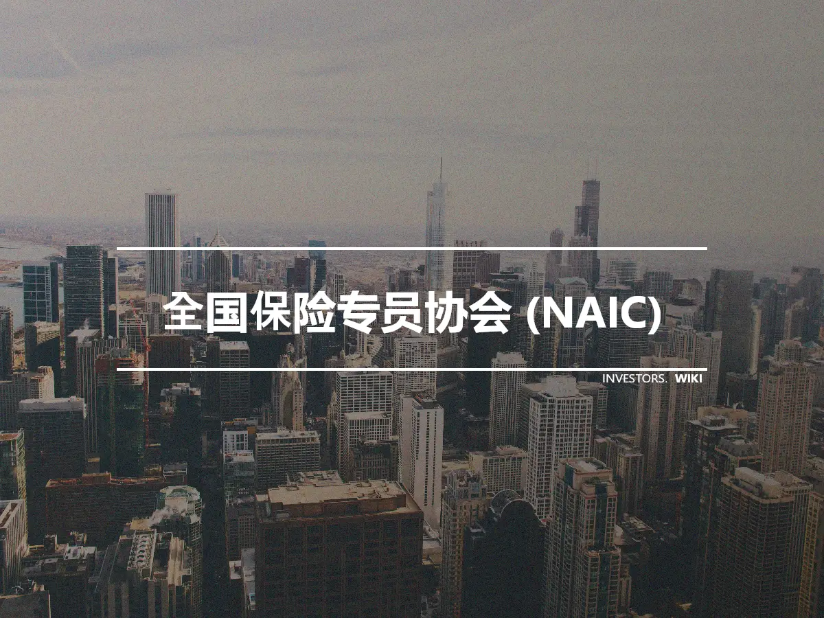 全国保险专员协会 (NAIC)