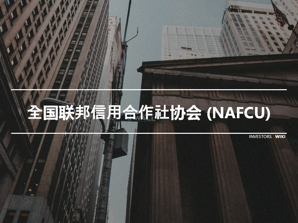 全国联邦信用合作社协会 (NAFCU)
