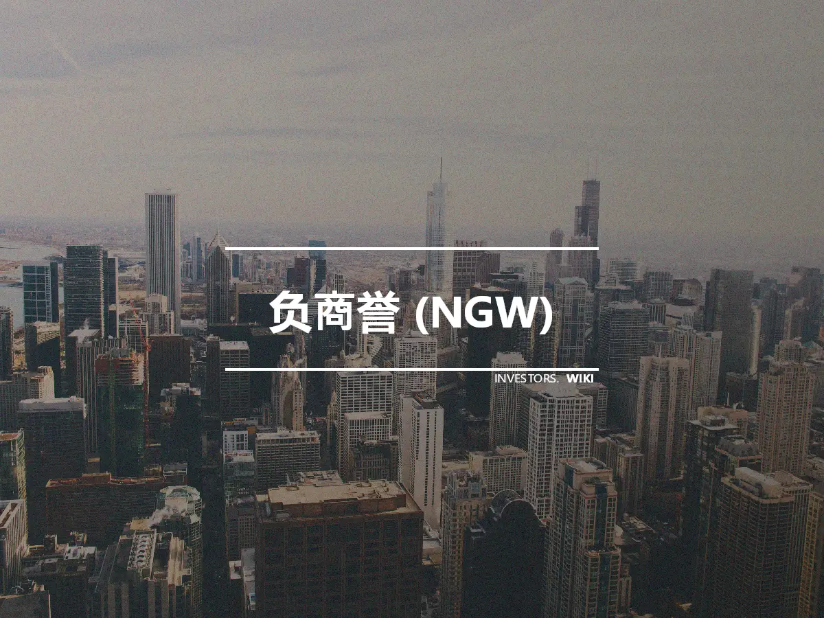 负商誉 (NGW)