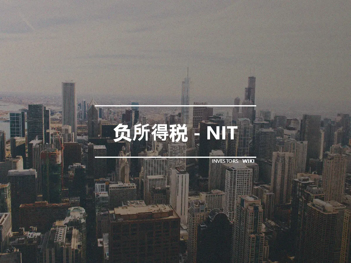 负所得税 - NIT