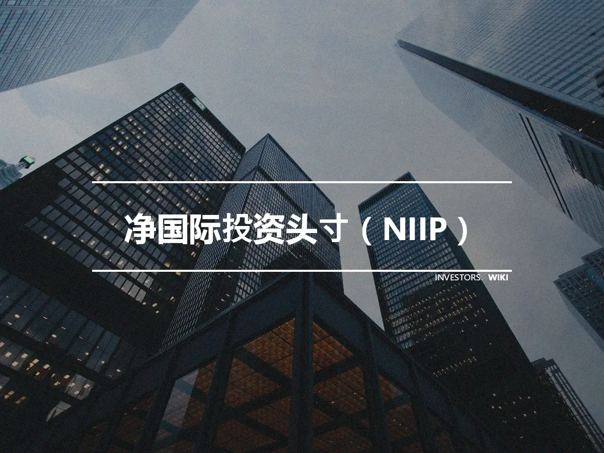 净国际投资头寸（NIIP）