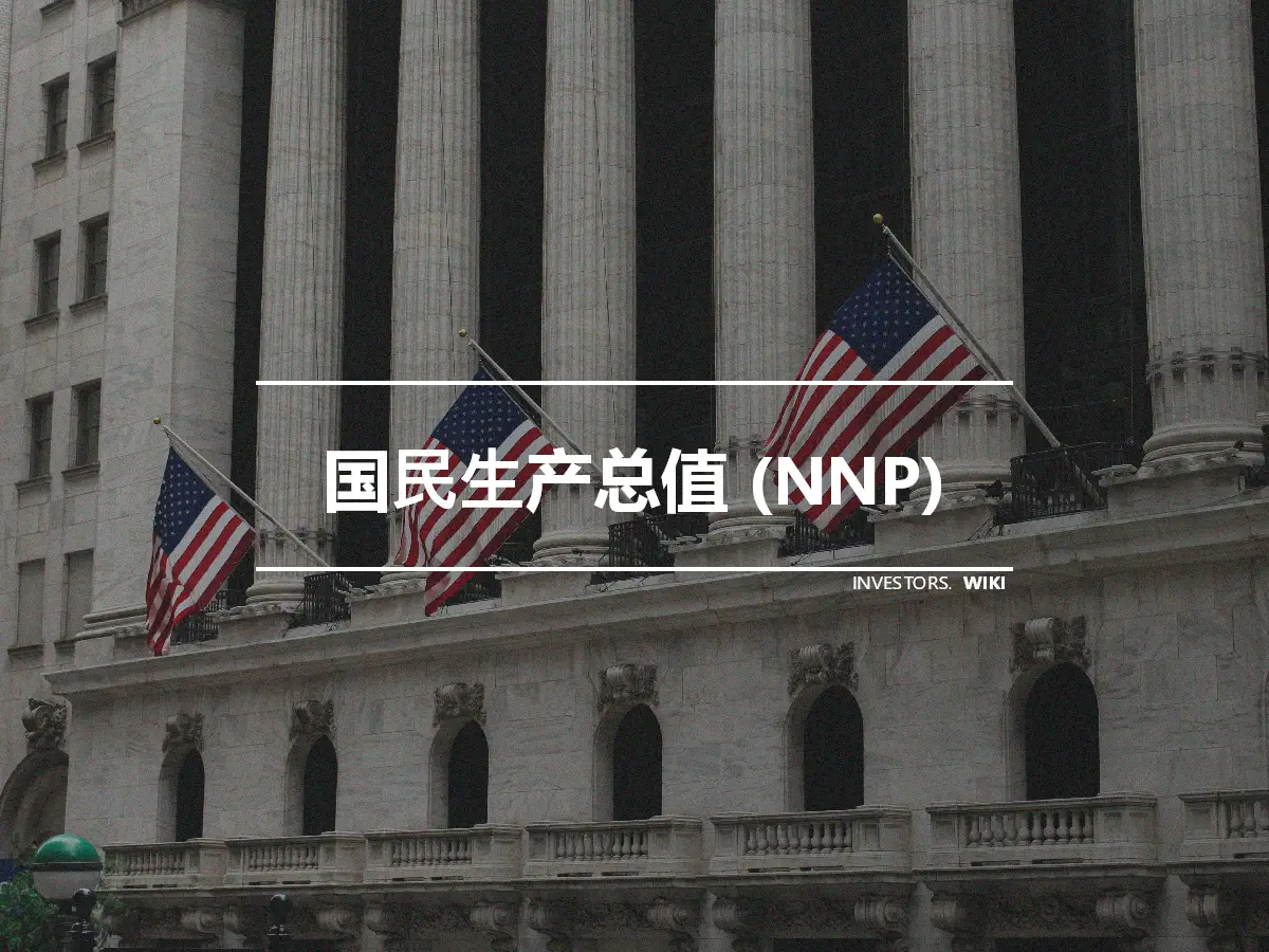国民生产总值 (NNP)