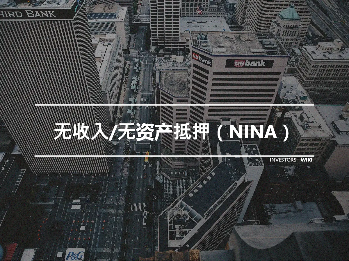 无收入/无资产抵押（NINA）