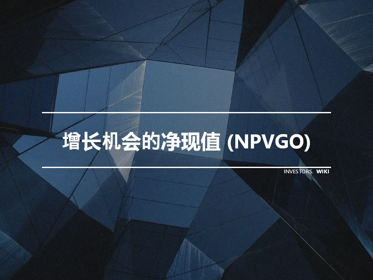 增长机会的净现值 (NPVGO)