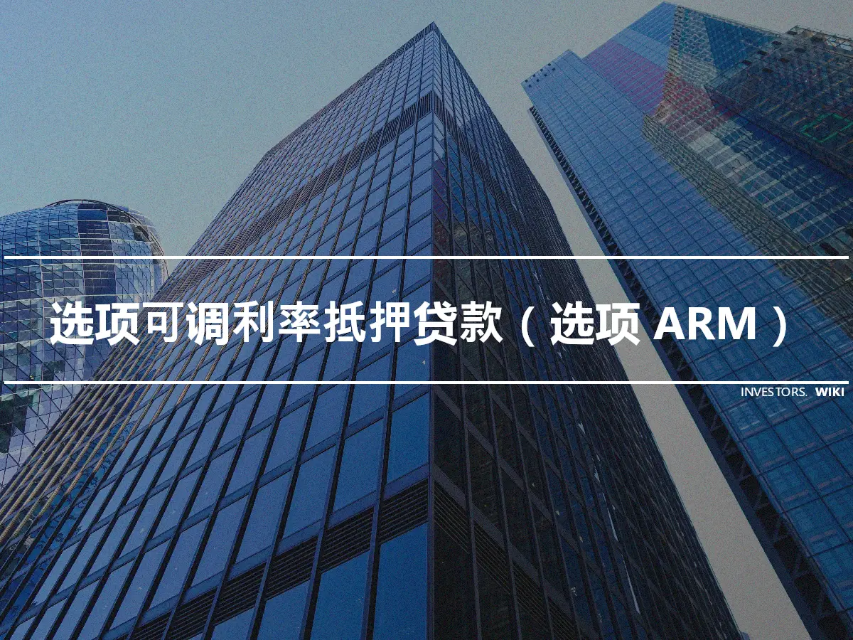 选项可调利率抵押贷款（选项 ARM）