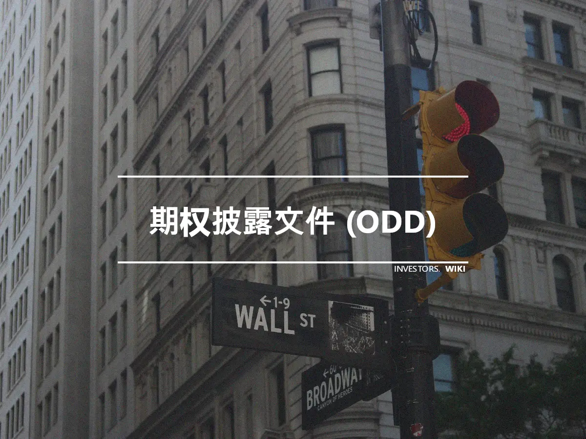 期权披露文件 (ODD)