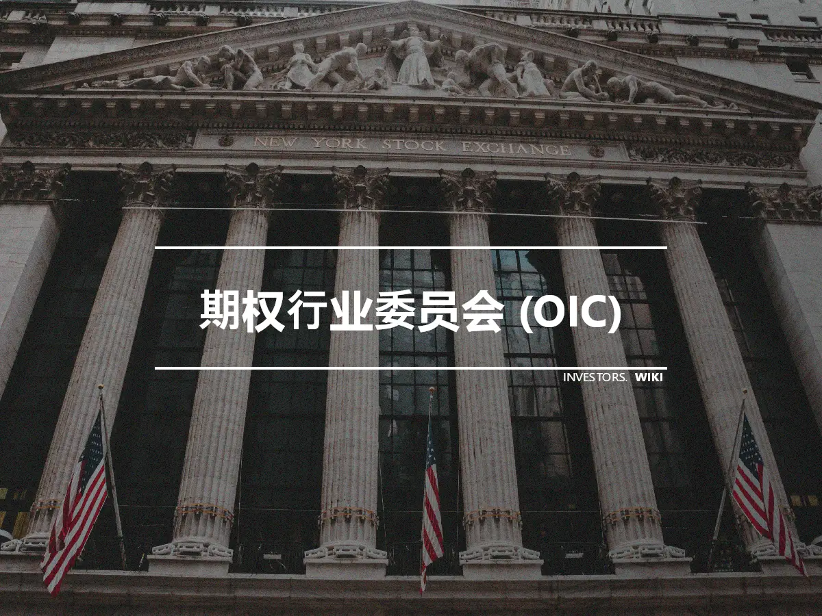 期权行业委员会 (OIC)