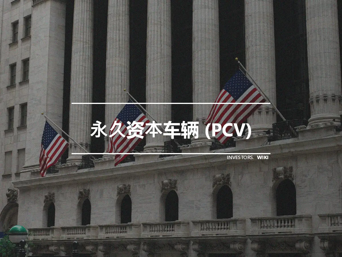 永久资本车辆 (PCV)