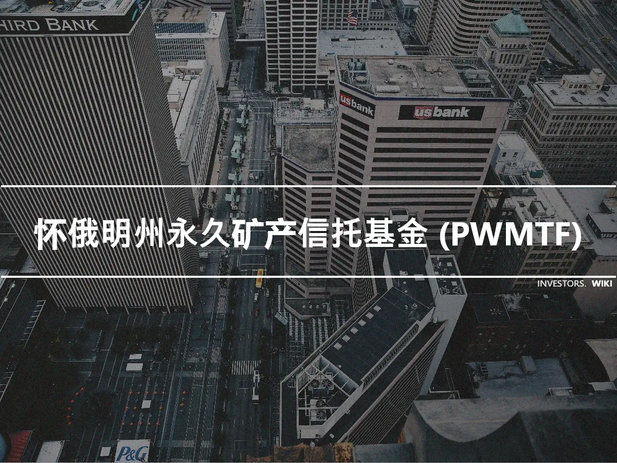 怀俄明州永久矿产信托基金 (PWMTF)