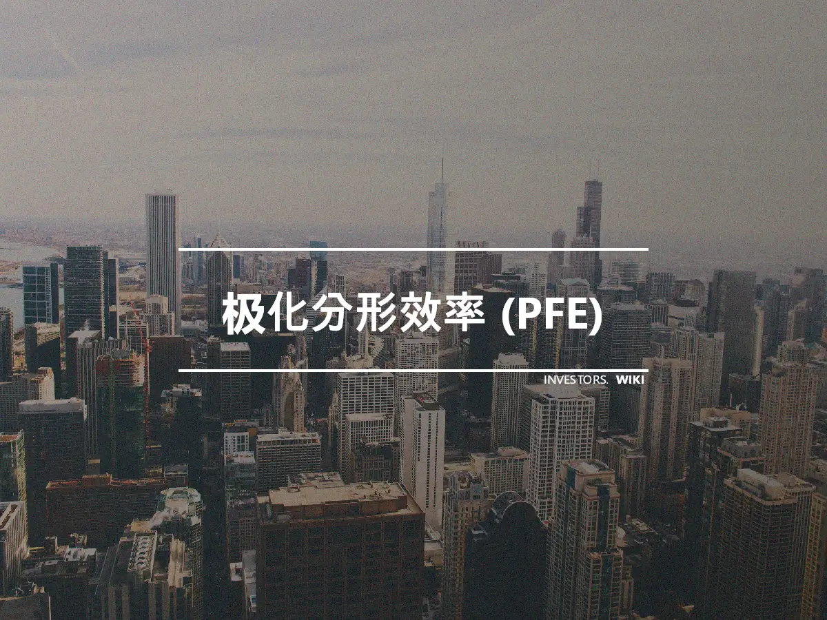 极化分形效率 (PFE)