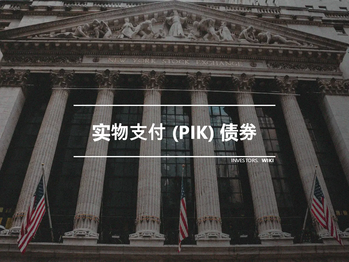 实物支付 (PIK) 债券