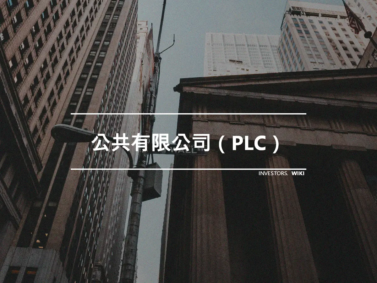 公共有限公司（PLC）