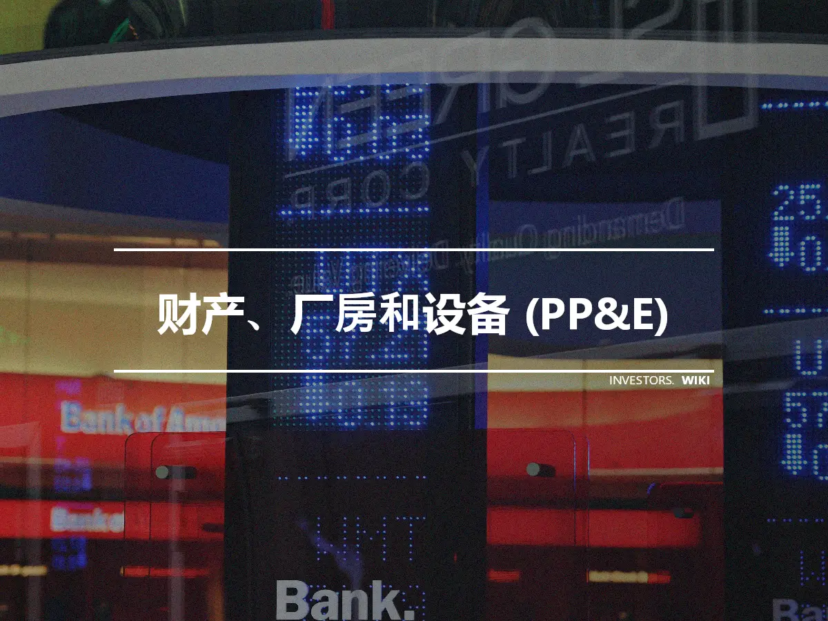 财产、厂房和设备 (PP&E)