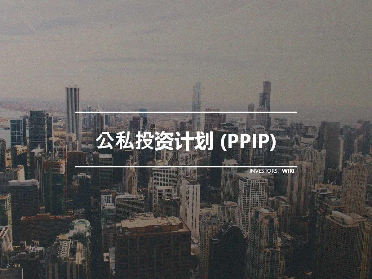 公私投资计划 (PPIP)