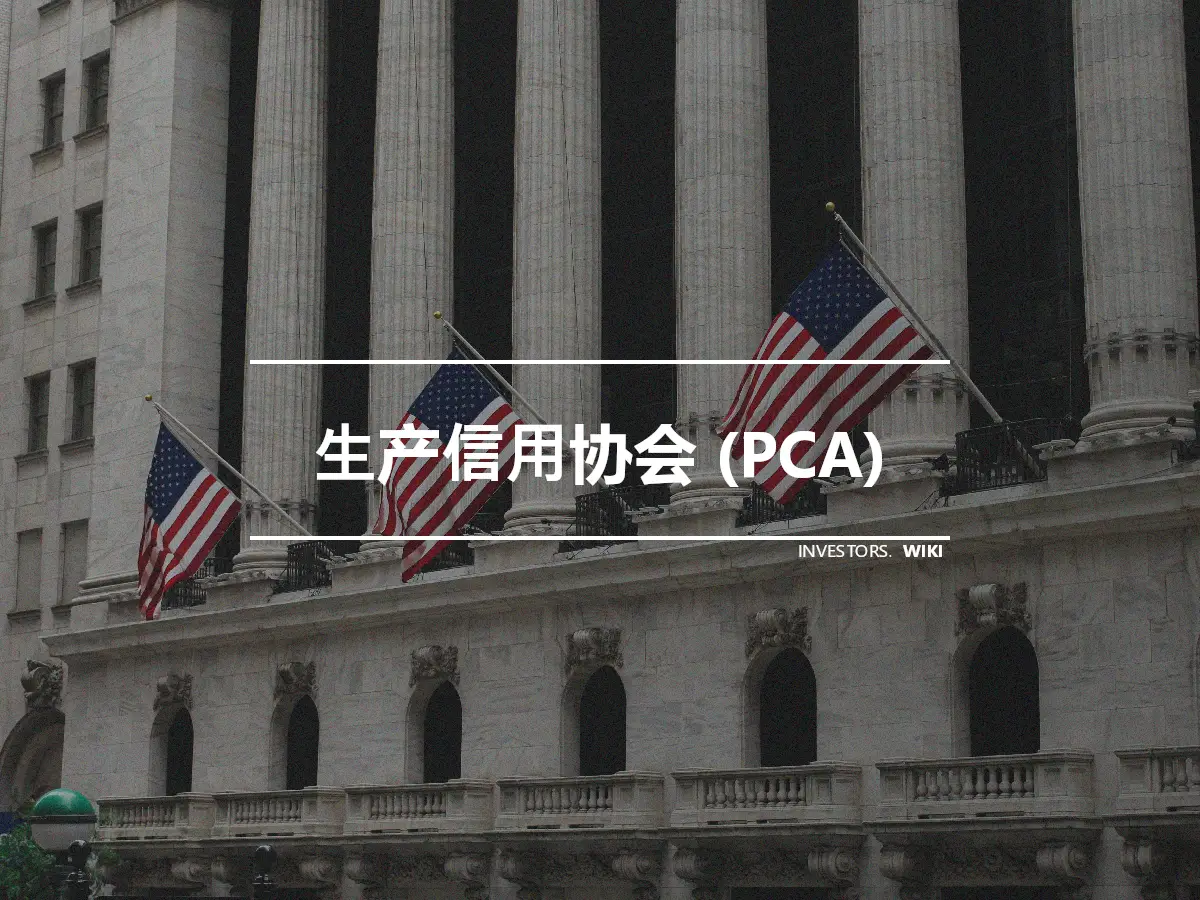 生产信用协会 (PCA)