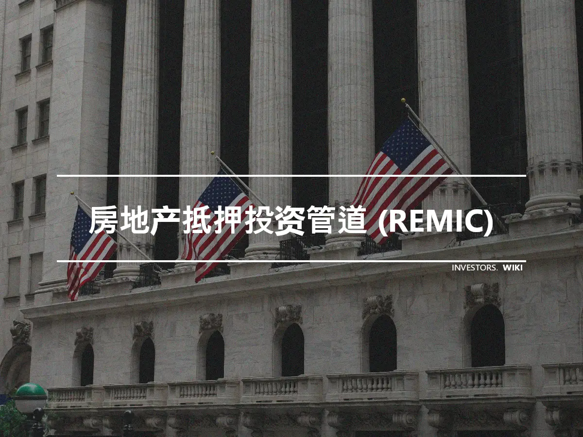 房地产抵押投资管道 (REMIC)