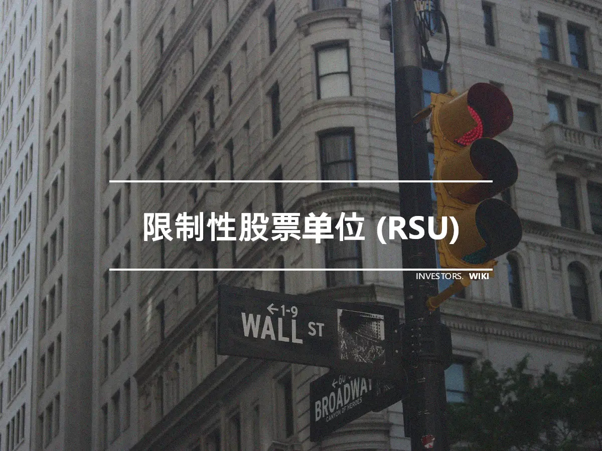 限制性股票单位 (RSU)