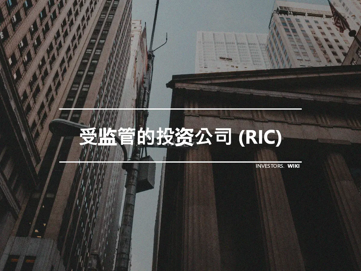 受监管的投资公司 (RIC)