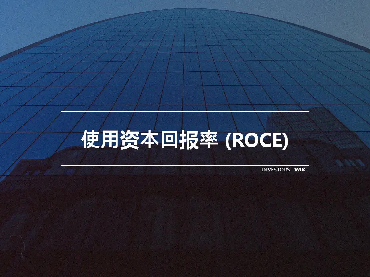 使用资本回报率 (ROCE)