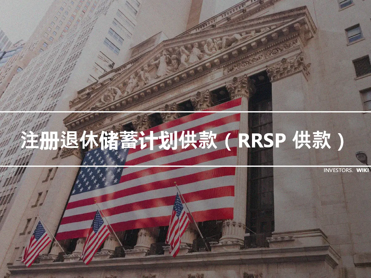 注册退休储蓄计划供款（RRSP 供款）