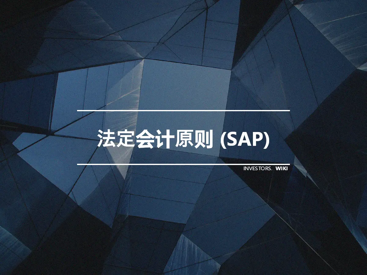 法定会计原则 (SAP)